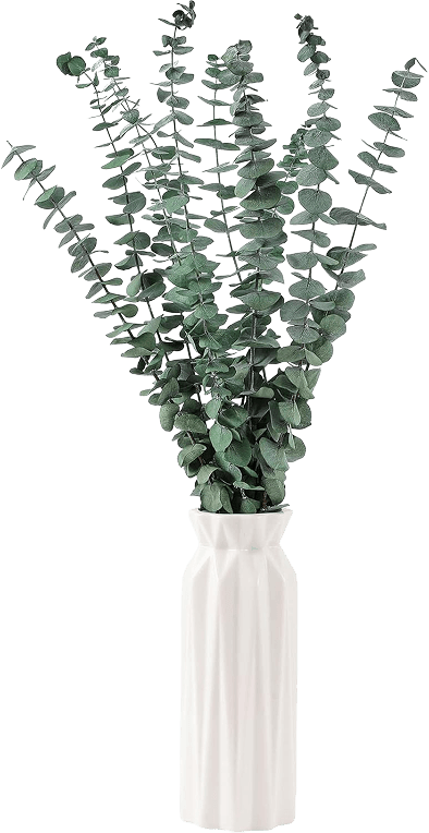 Artificial Eucalyptus Stems
