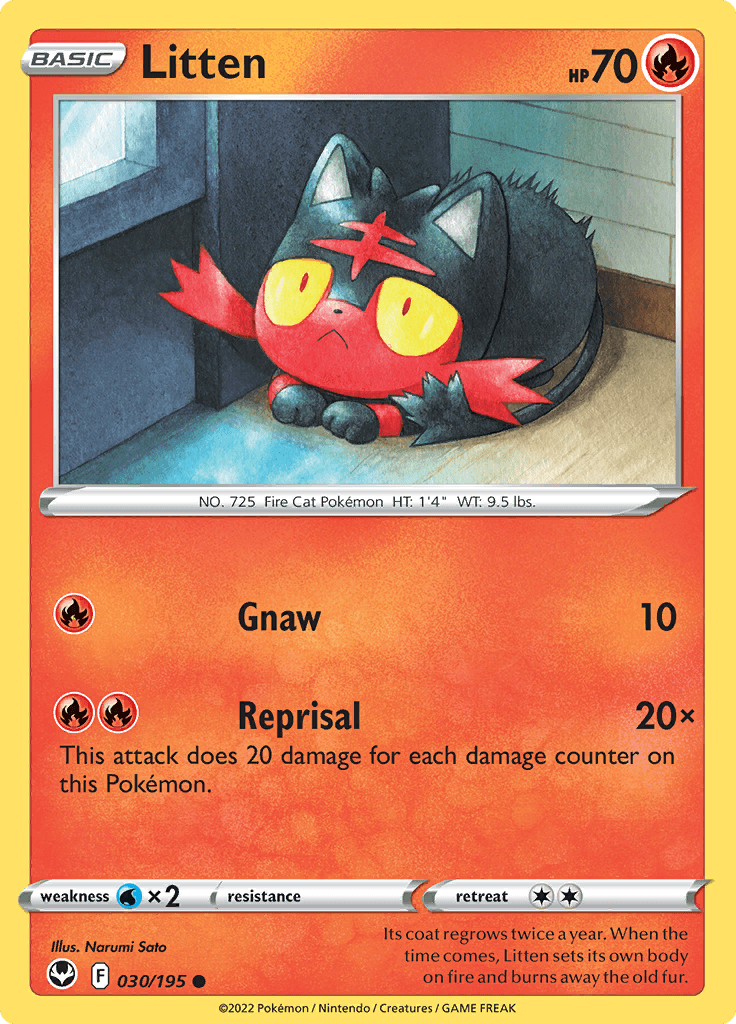 Silver Tempest Litten 030