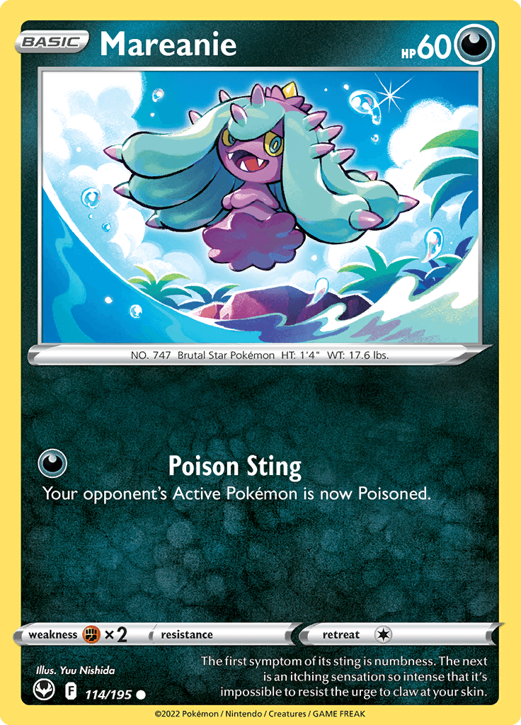 Silver Tempest Mareanie 114