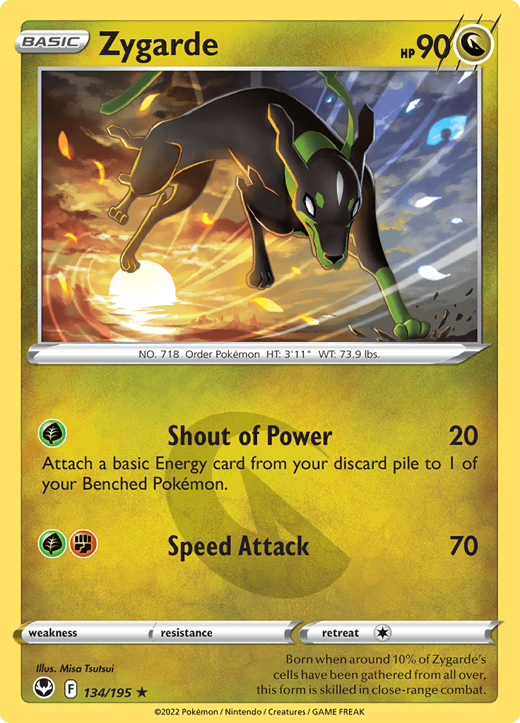 Silver Tempest Zygarde 134